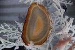 Agate Ornament