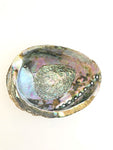 Abalone Shell
