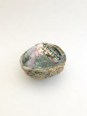 Abalone Shell