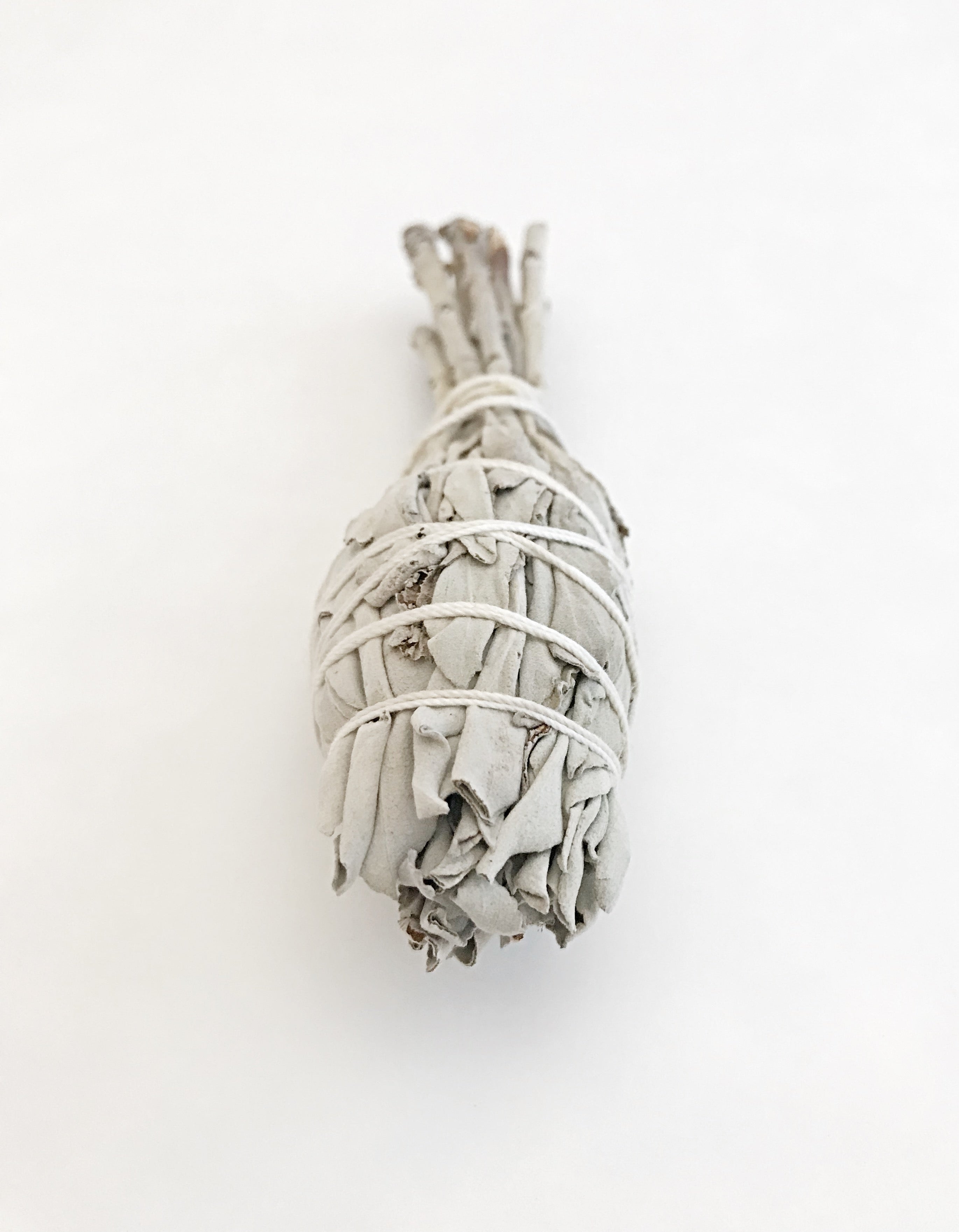 White sage mini
